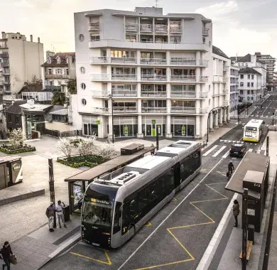 Fébus place d'Espagne en centre de Pau