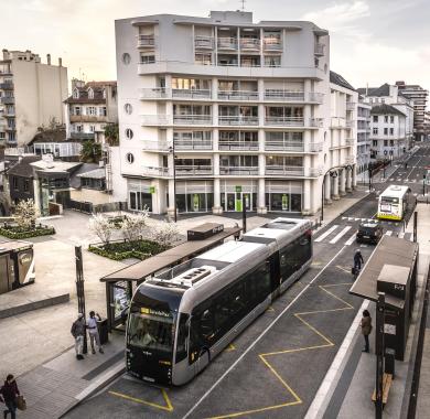 Fébus place d'Espagne en centre de Pau