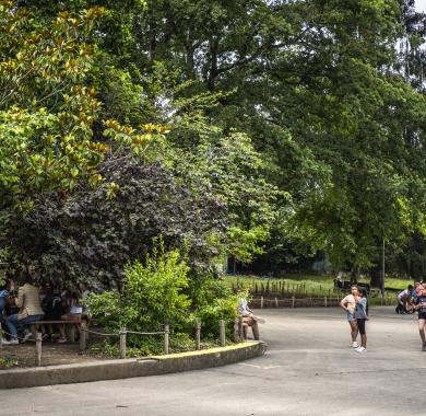 Centre de Loisirs Les Fraisiers 