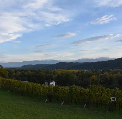 Parc du château de Franqueville