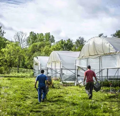 Luc Launay, le maraîcher bio de Saint Faust