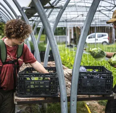 La Ferme Cultive à Rontignon