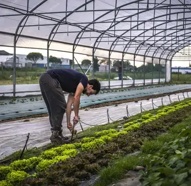 Loïs Labille à Denguin