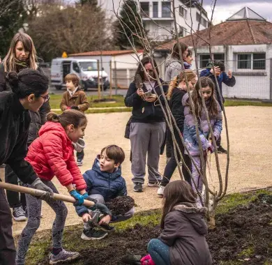 Rendez-vous avec les arbres : plantation à l'école Lapuyade