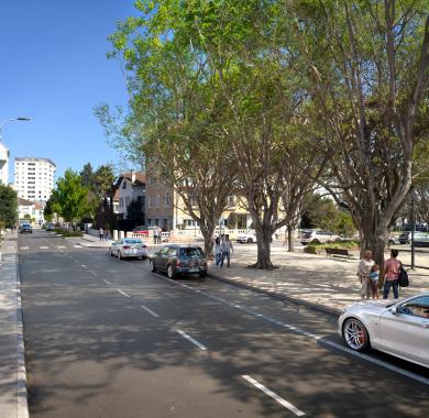 Avenue du Loup : perspective projet