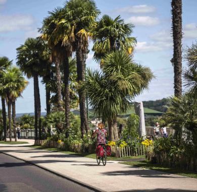 Boulevard des Pyrénées : déplacement