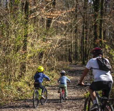 Balade à vélo à la saligue de St-Abit et Arros-de-Nay