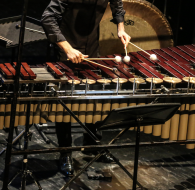Festival Peaux à Pau 