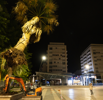 La place Clemenceau entame sa métamorphose végétale