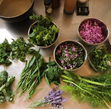 Plantes sauvages comestibles ramassées et présentées sur une table