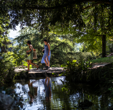 Promeneuses à l'ombre du parc Beaumont 