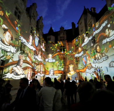 Son & Lumière dans la cour du château de Pau