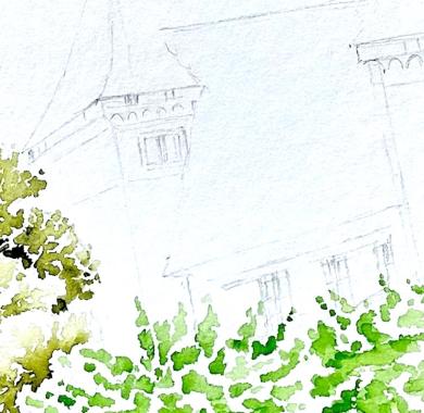 Travail de peinture à l'aquarelle, les platanes qui soulignent une façade du château de Pau saisie à la mine graphite