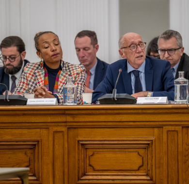 Le Conseil Municipal
