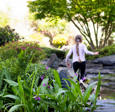 Le jardin de Kofu