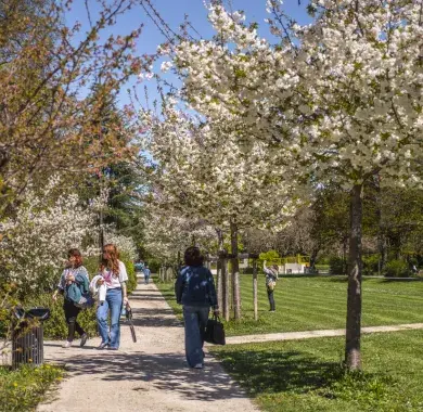 Parc centrale de Saragosse 