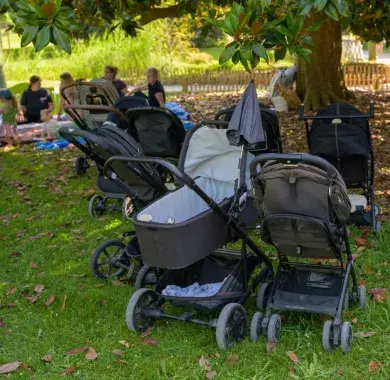 Des poussettes dans un parc 