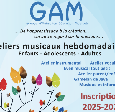 Ateliers musicaux enfants - adultes