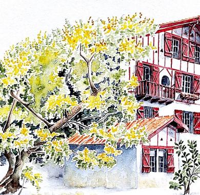 Etxe au mimosa, aquarelle peinte in situ par Cécile Van Espen, le 13 février 2024 à Anglet. En premier plan, sur la moitié gauche, un mimosa en fleur se penche vers un etxe. Il passe devant le bâtiment et empiète légérement sur la façade principale. Cette dernière occupe toute la moitié droite, elle est légèrement de profil. Toutes les boiseries sont rouges.