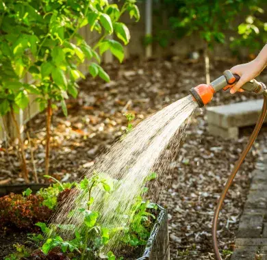Un jardin en plein arrosage