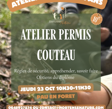 activite enfants pau