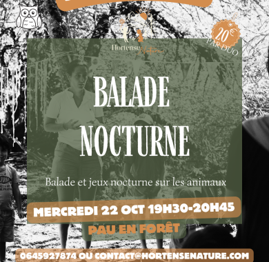 balade nocturne famille pau