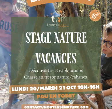 stage nature enfants pau