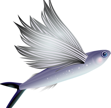 Atelier créatif : le poisson japonais