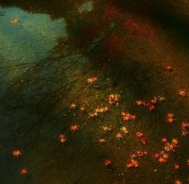 Japon : Mois du film documentaire - Projection Japon : Mois du film documentaire - Projection