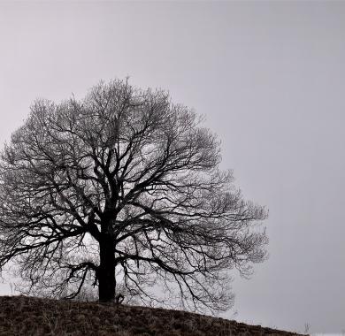 photographie noir et blanc