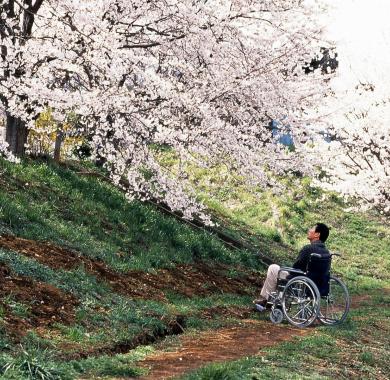 hana-bi film melies pau