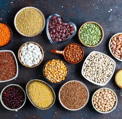 Jeux de reconnaissance de graines