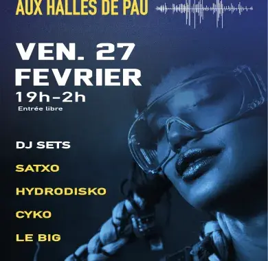 affiche nocturne des halles ondes electro à pau