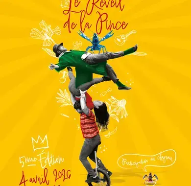 Affiche : Festival Le Réveil de La Pince