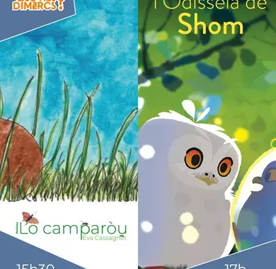 Couverture album et affiche film