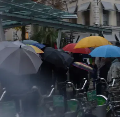 Plusieurs parapluies colorés, serrés les uns contre les autres