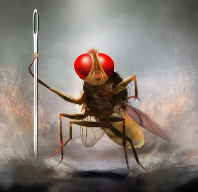 eega la mouche vengeresse film melies pau