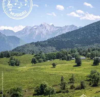 Vue de la montagne en été
