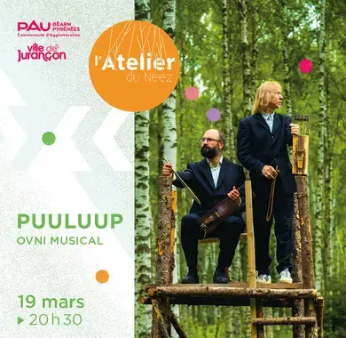 Puuluup