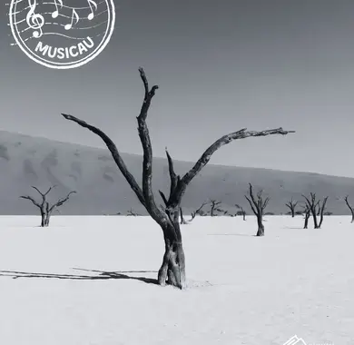 Photo d'un arbre dans le désert