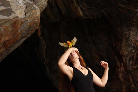 les oiseaux de pluie film melies pau 