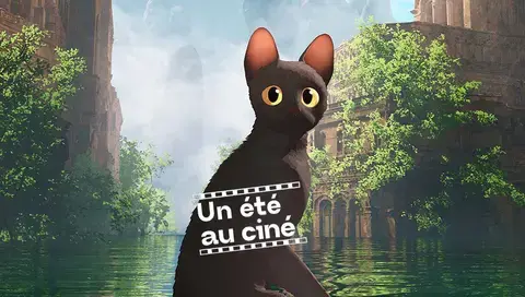 flow-projection gratuite un ete au cine