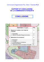 PLUI CA Pau CONCLUSIONS.pdf