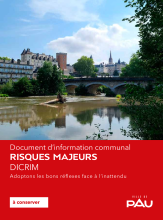 dicrim-livret-pau-2024-web.pdf