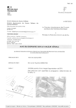 13.1 Avis domaines.pdf