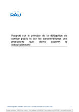 24.1 Rapport sur animations centre ville.pdf