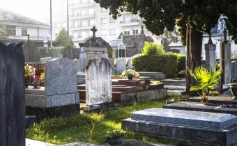 Cimetière de Pau  Cimetière de Pau