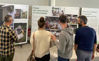 Exposition au carreau des halles