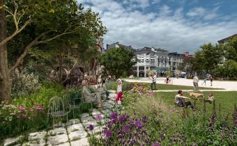 Végétalisation de la place Clemenceau : vue manège