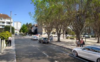 Avenue du Loup : perspective projet
